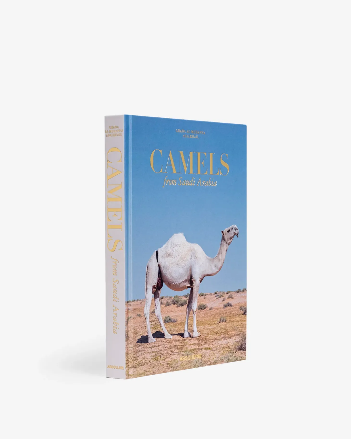 Camels from Saudi Arabia (Classic)