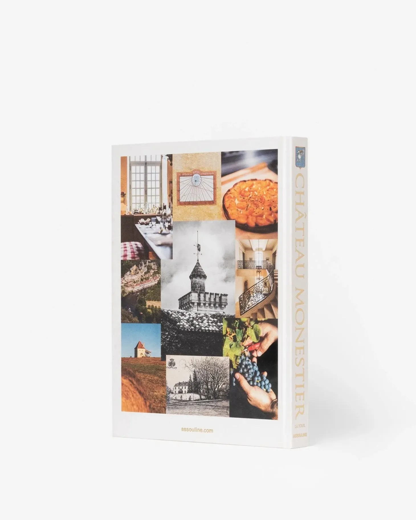 Château Monestier La Tour (French)