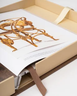 Lalanne: A World of Poetry