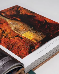 The Impossible Collection of Champagne